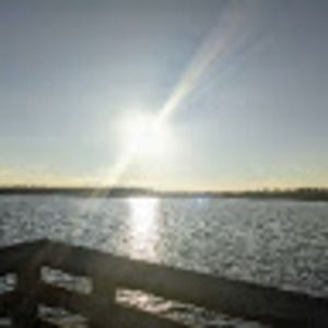 Meet your Posher, Ashlie